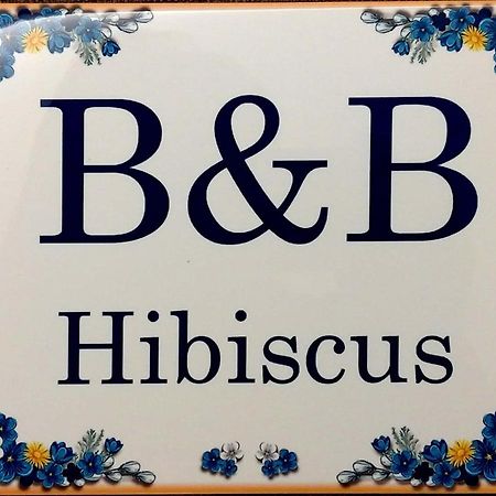B&B Hibiscus Porto SantʼElpidio Exteriér fotografie